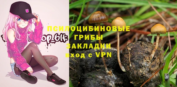 a pvp Карпинск