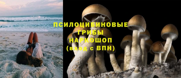 a pvp Карпинск
