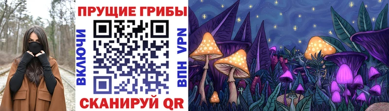 Псилоцибиновые грибы мицелий Купить Александров