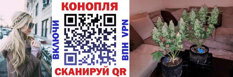 Купить где  Александров  Бошки Шишки SATIVA & INDICA 